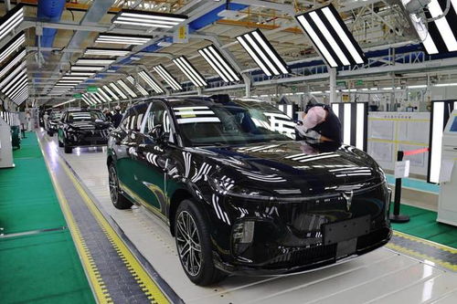 嵐圖汽車雙工廠火力全開，單日產能突破800輛，加速布局汽車市場